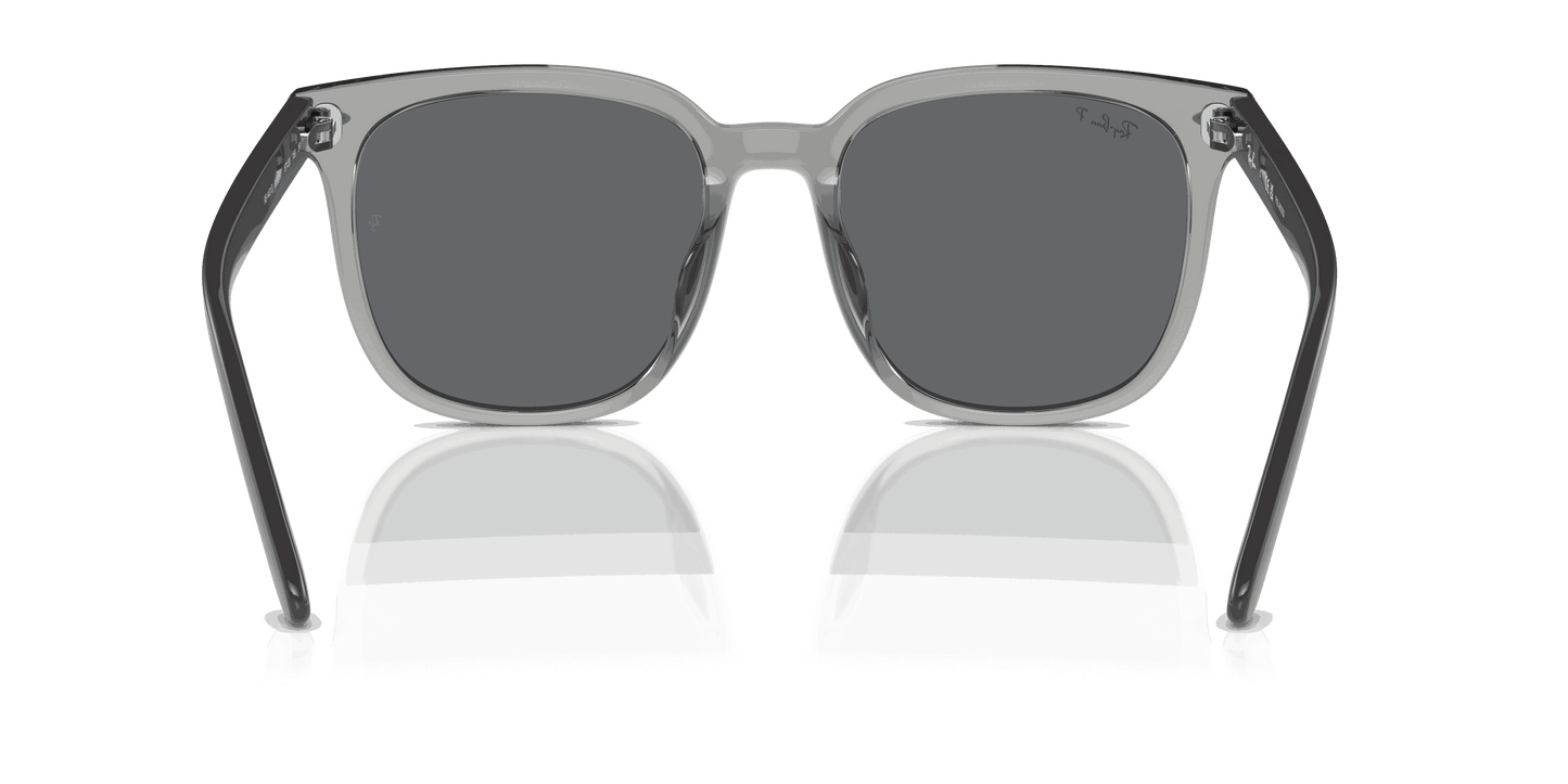 [Dark Grey Lenses, Polished Transparent Grey Frame]