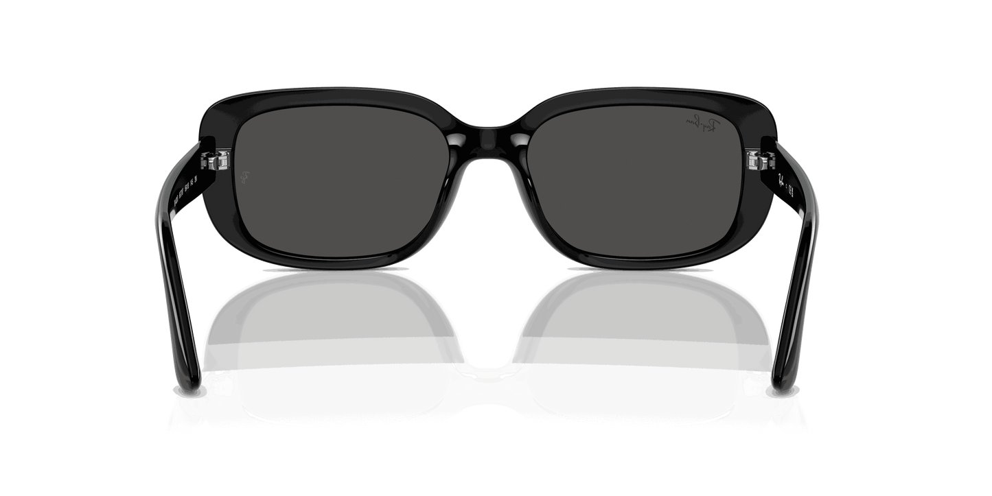 [Dark Grey Lenses, Polished Black Frame]