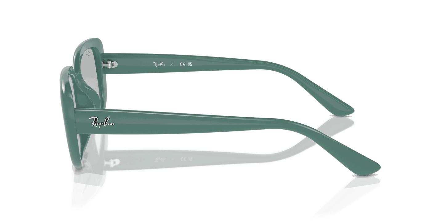 [Light Grey Lenses, Polished Algae Green Frame]
