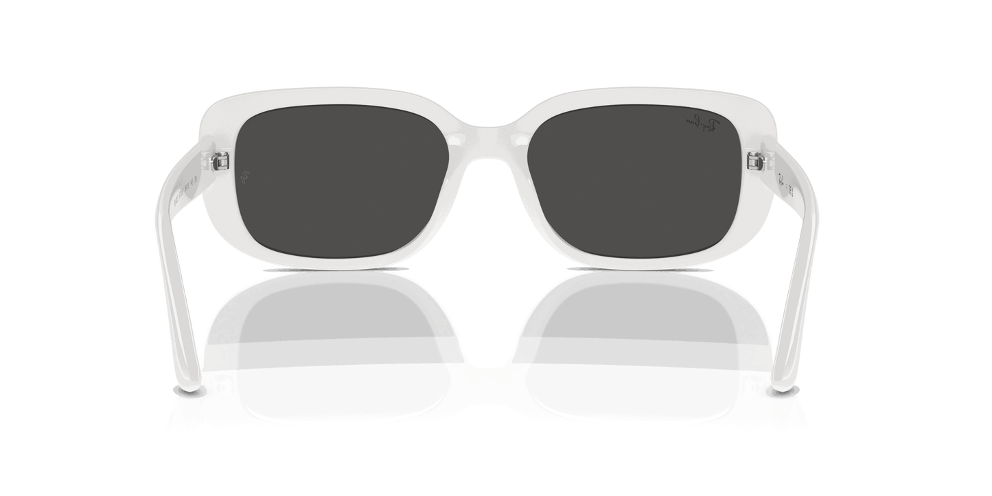 [Dark Grey Lenses, Polished White Frame]