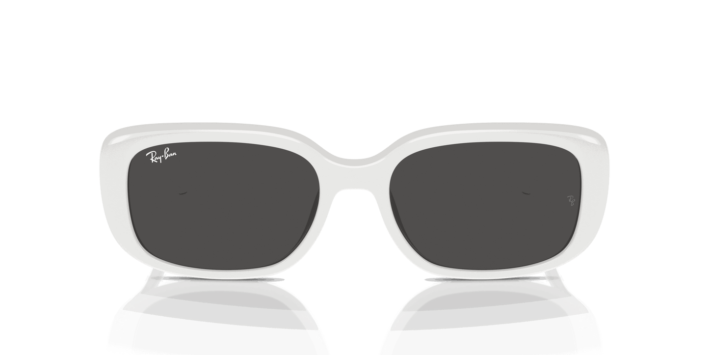 [Dark Grey Lenses, Polished White Frame]