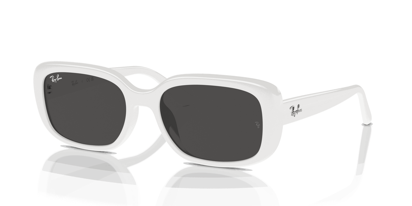 [Dark Grey Lenses, Polished White Frame]