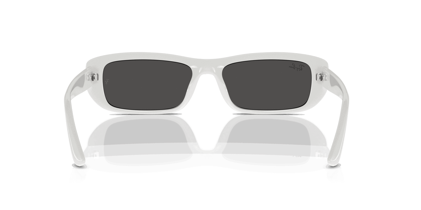 [Dark Grey Lenses, Polished White Frame]