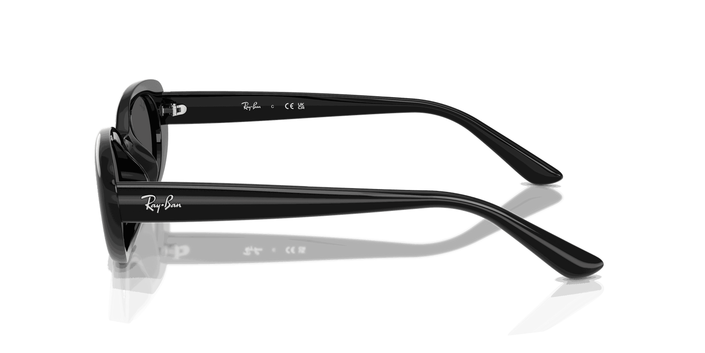 [Dark Grey Lenses, Polished Black Frame]