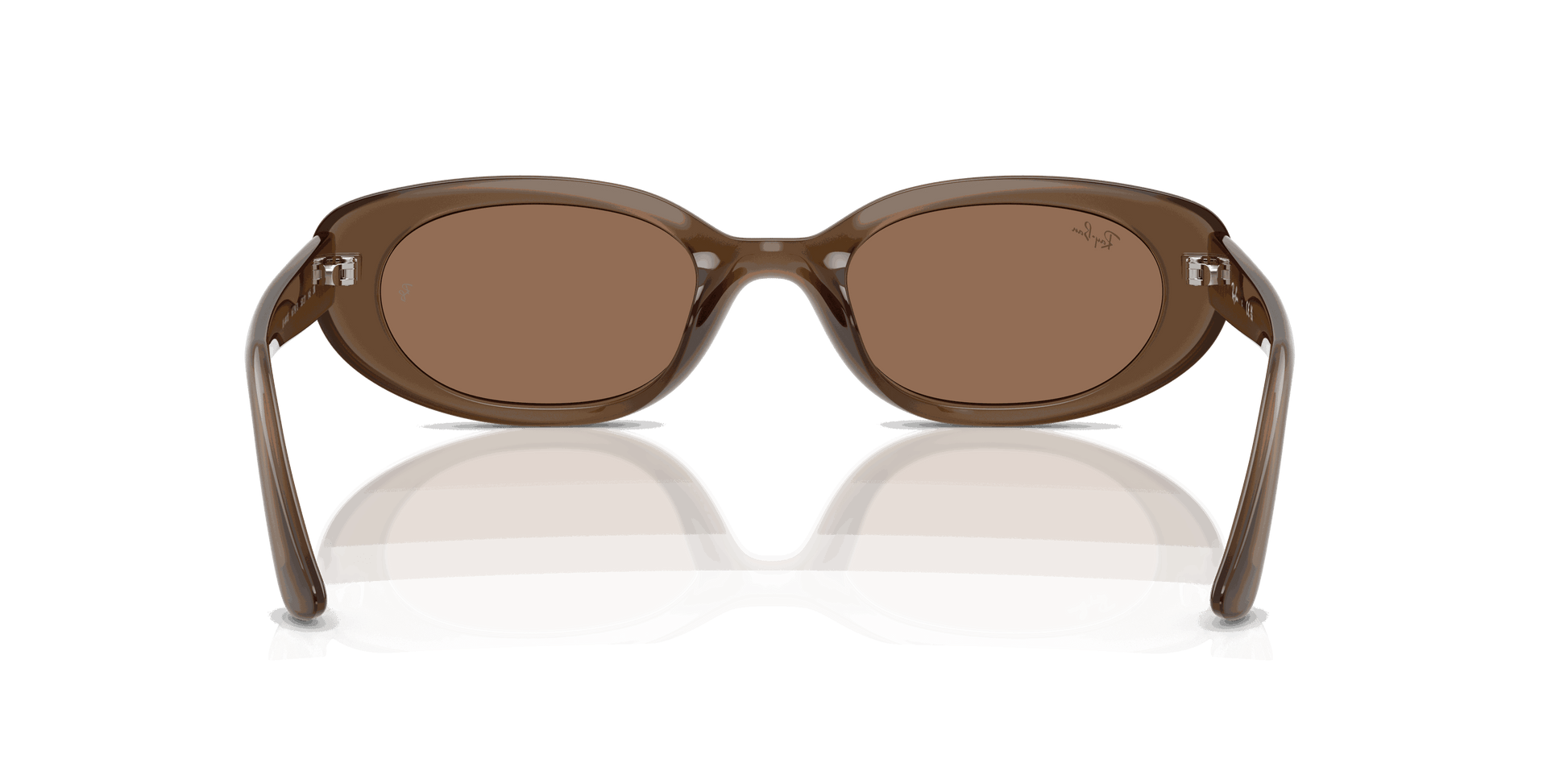 [Dark Brown Lenses, Matte Opal Brown Frame]