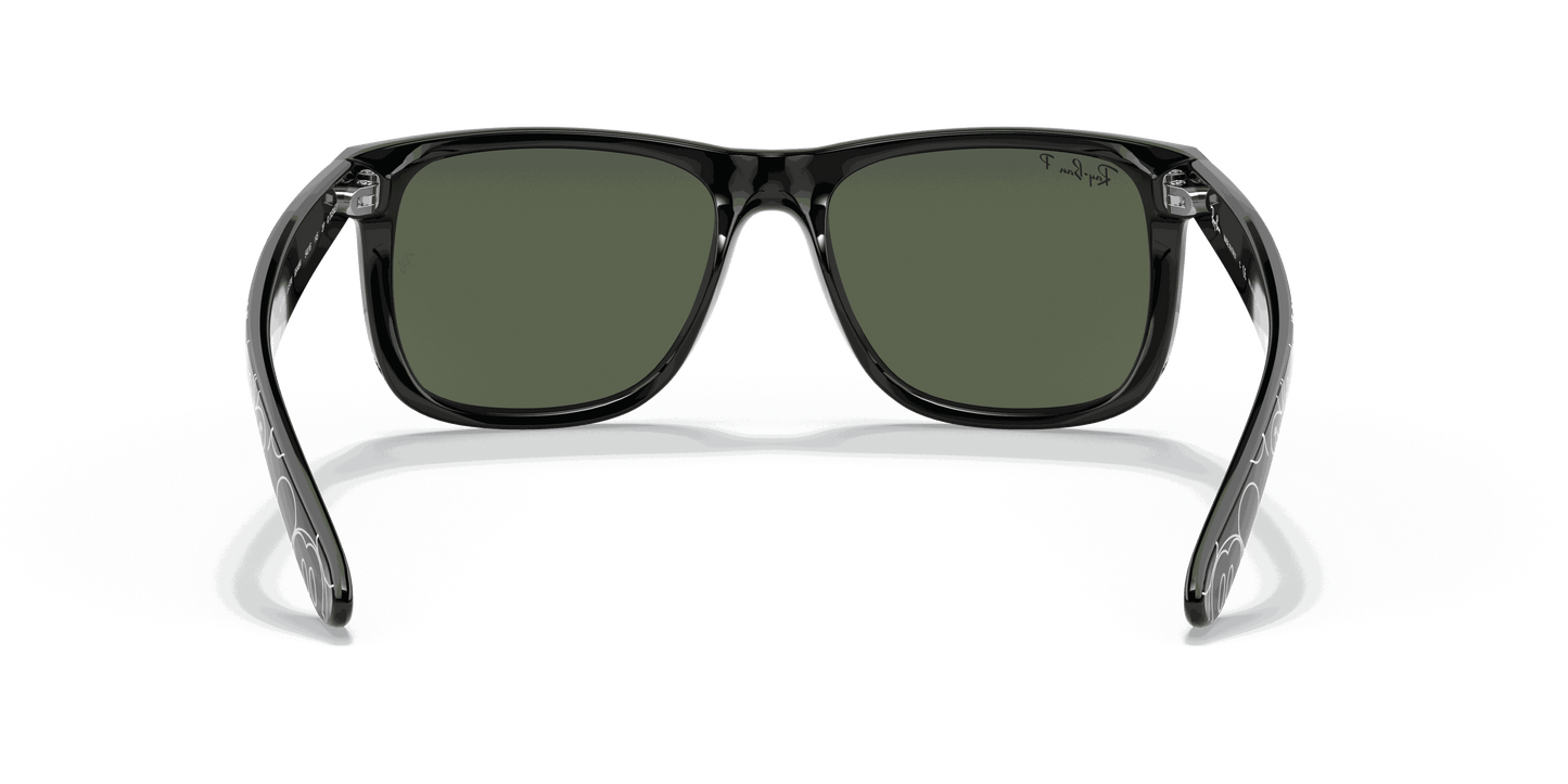 [Polarized Dark Green Lenses, Polished Black Frame]