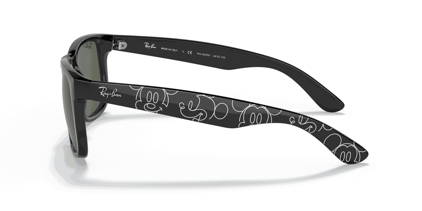 [Polarized Dark Green Lenses, Polished Black Frame]