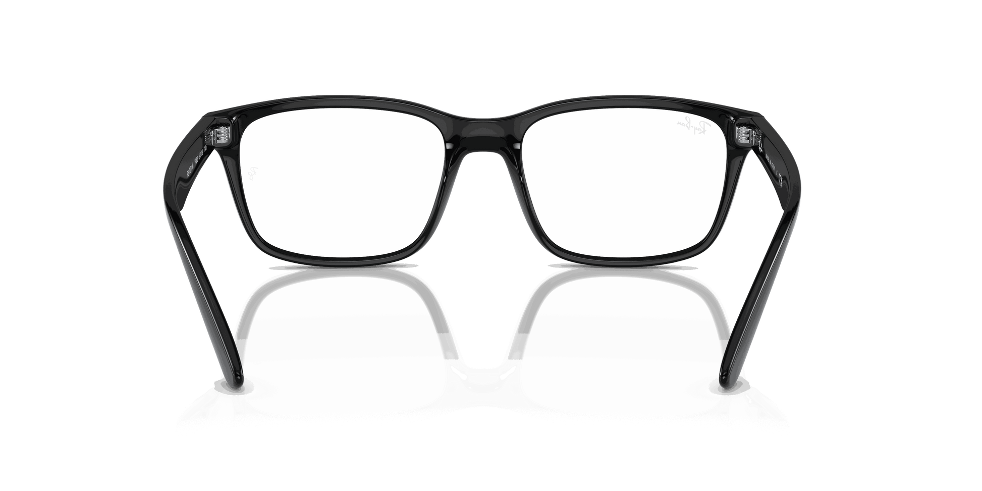[Clear Lenses, Polished Black Frame]