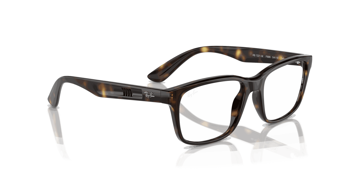 [Clear Lenses, Polished Havana Frame]