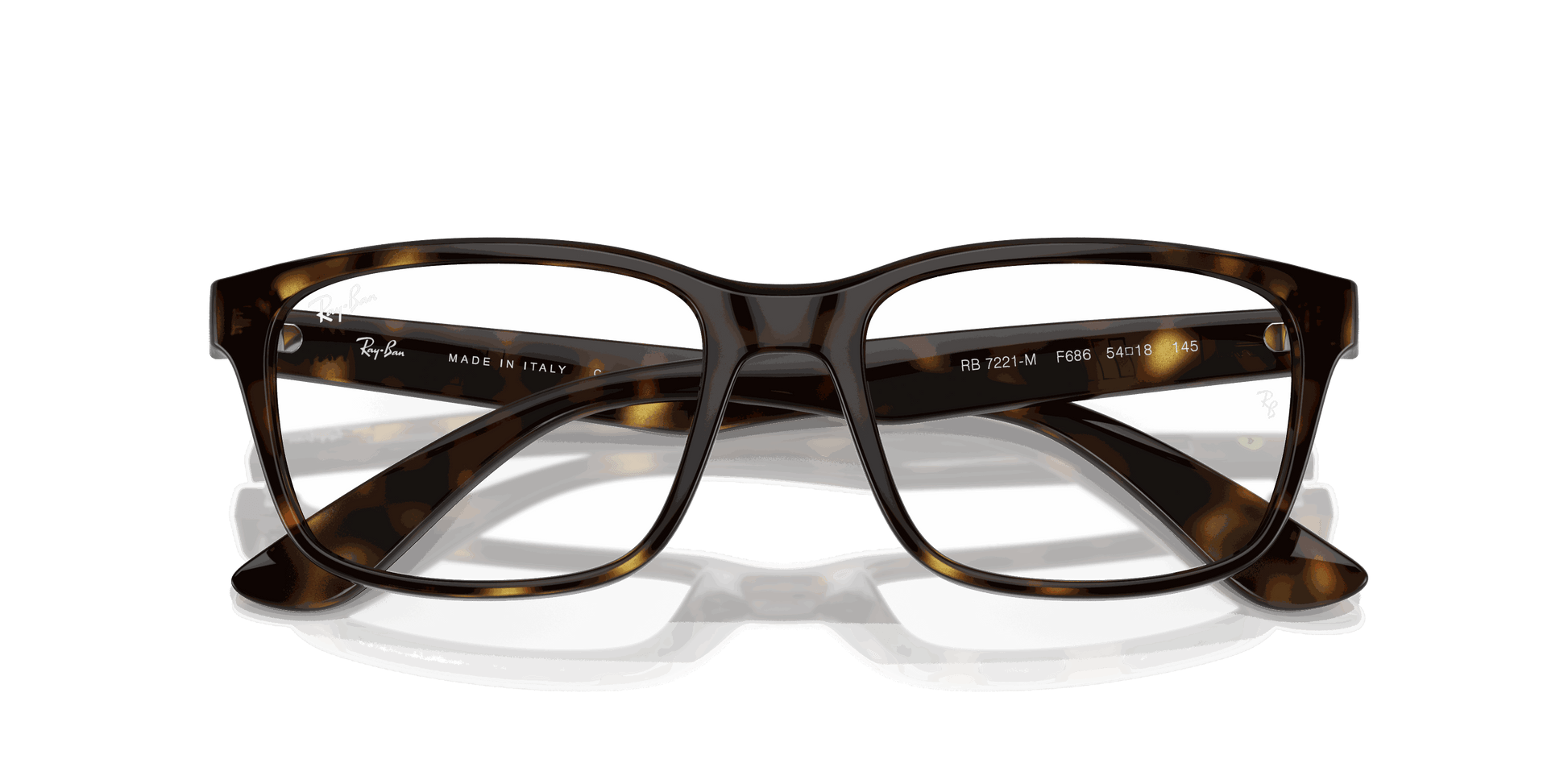 [Clear Lenses, Polished Havana Frame]