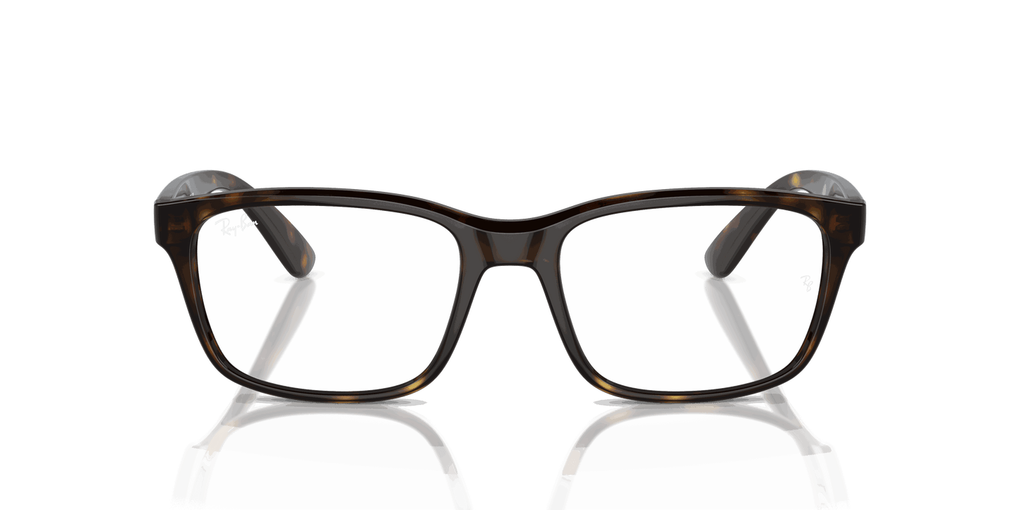 [Clear Lenses, Polished Havana Frame]