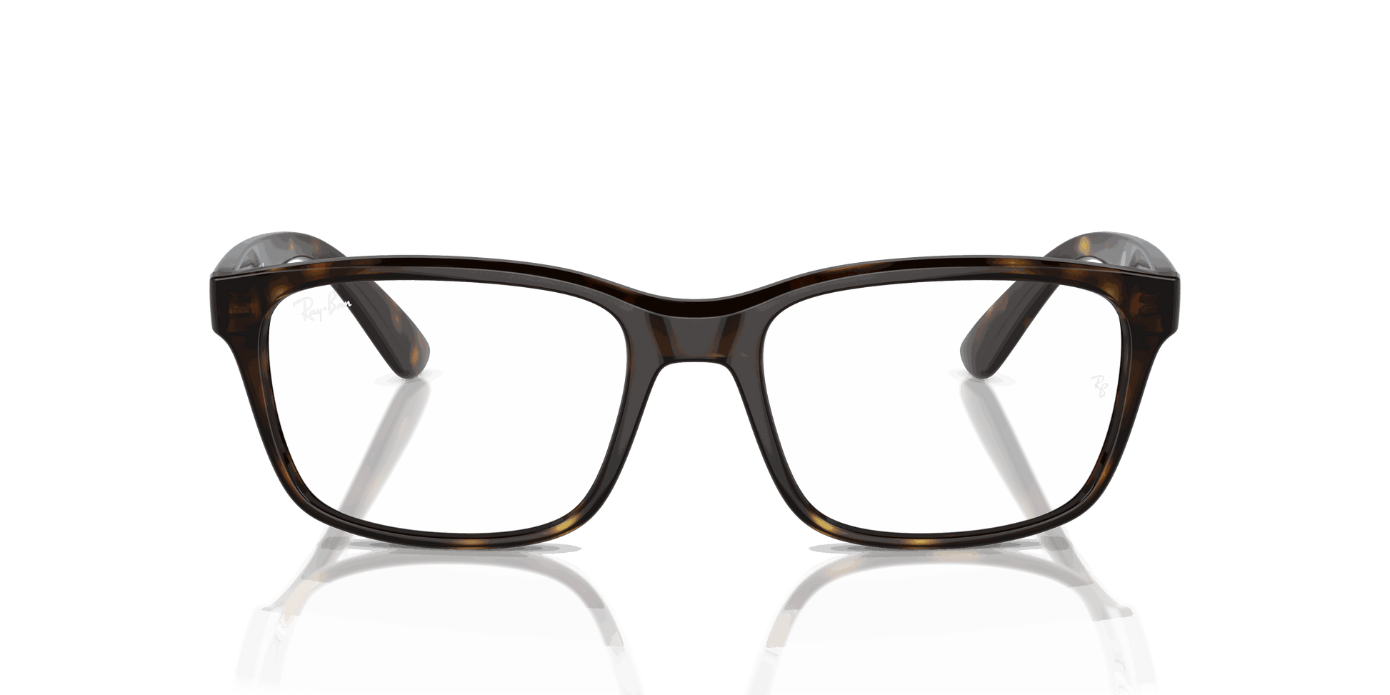 [Clear Lenses, Polished Havana Frame]