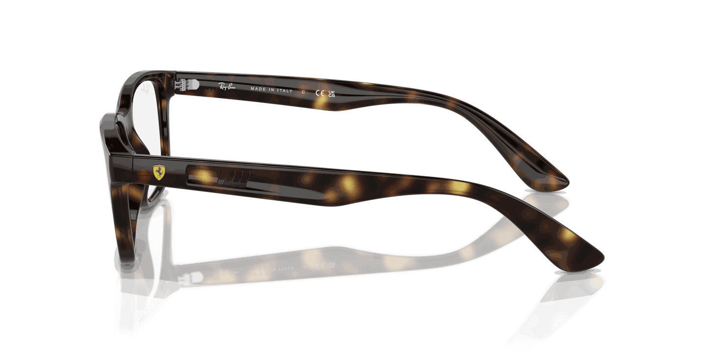 [Clear Lenses, Polished Havana Frame]