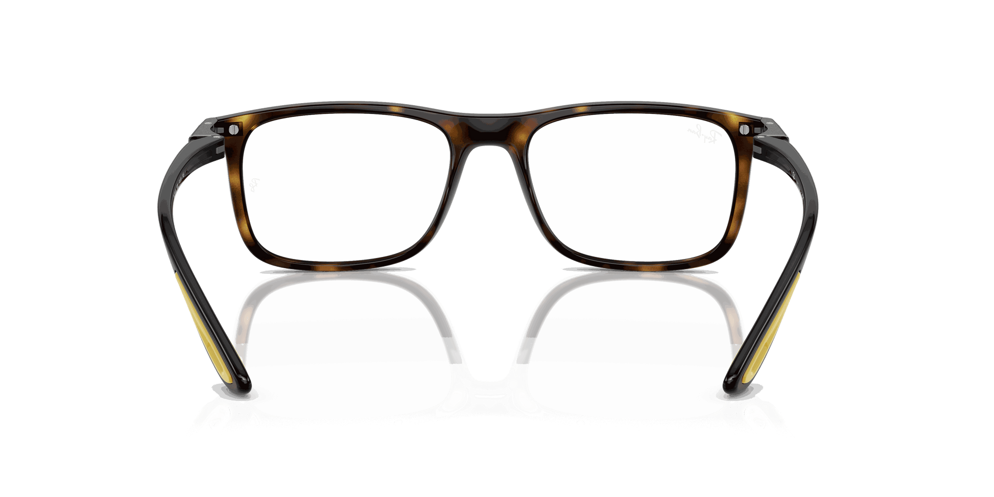 [Clear Lenses, Polished Havana Frame]