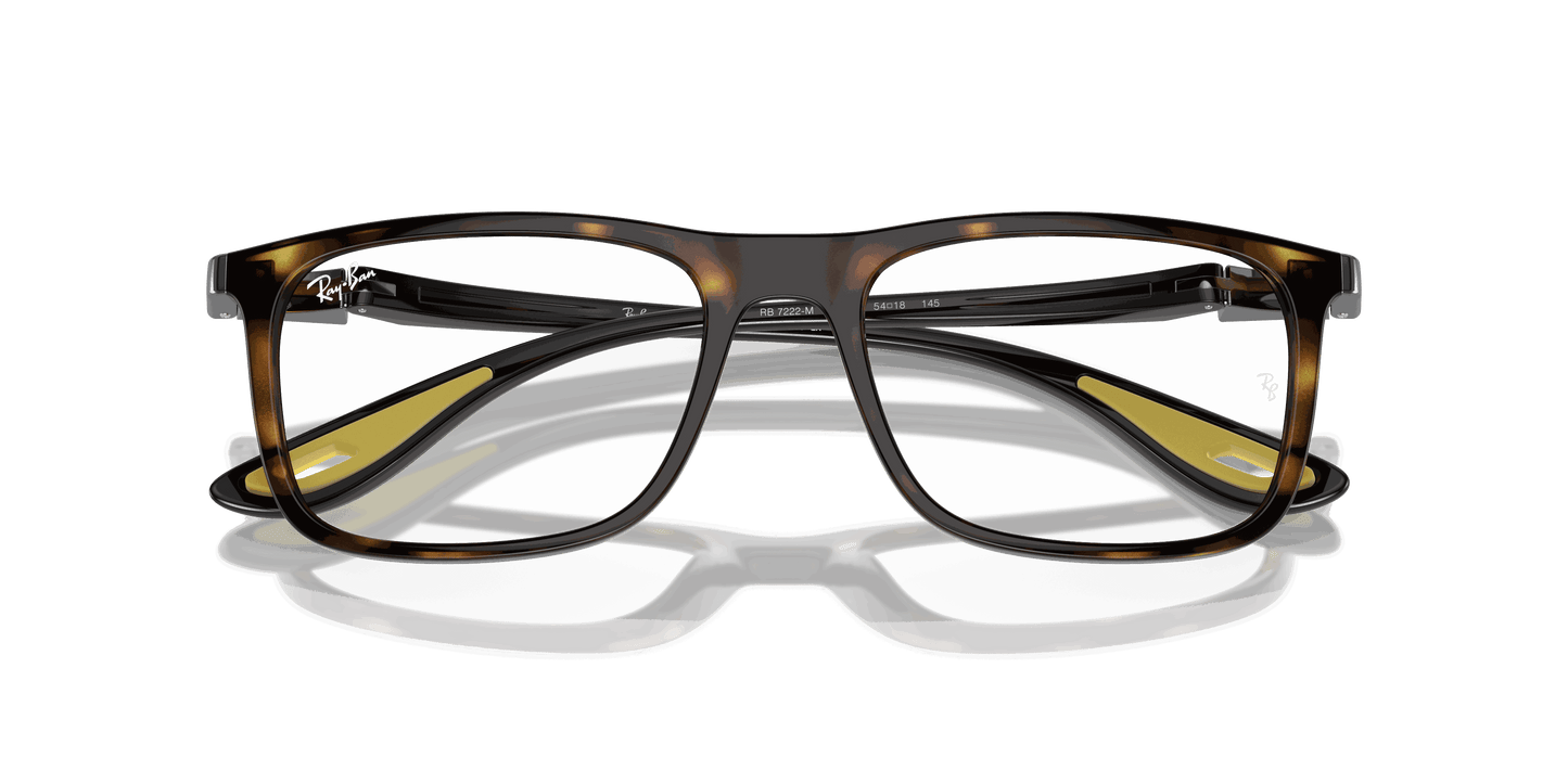 [Clear Lenses, Polished Havana Frame]