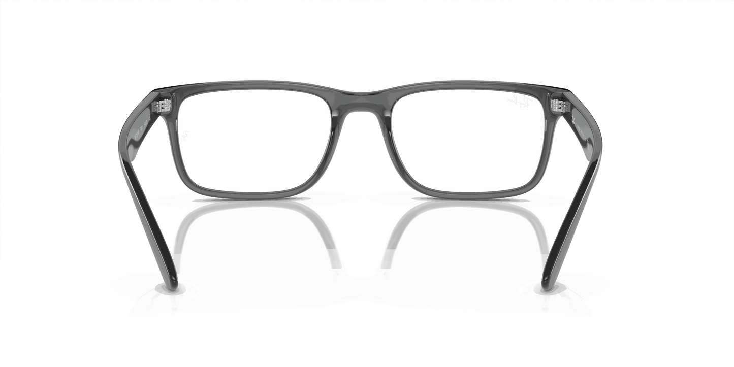 [Clear Lenses, Polished Transparent Grey Frame]
