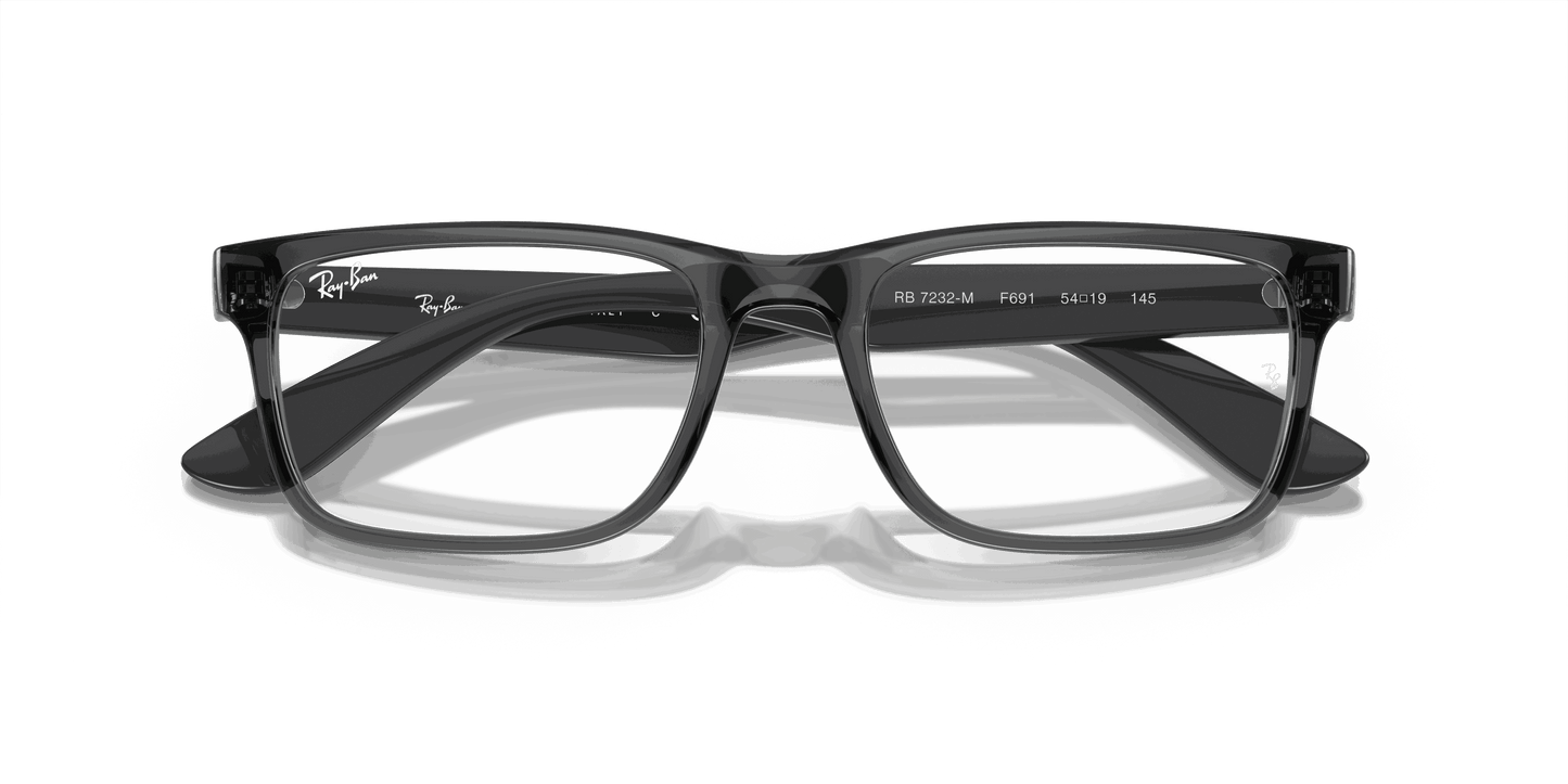 [Clear Lenses, Polished Transparent Grey Frame]