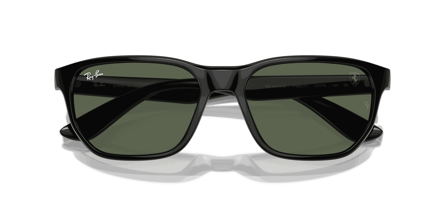 [Dark Green Lenses, Polished Black Frame]