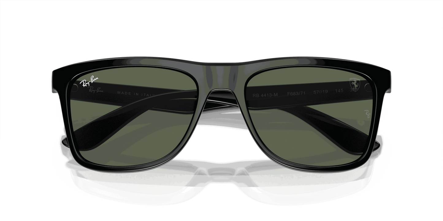 [Dark Green Lenses, Polished Black Frame]