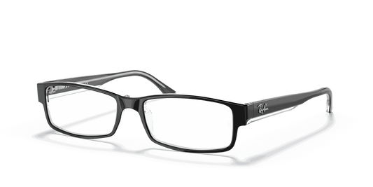 [Clear Lenses, Polished Black On Transparent Frame]