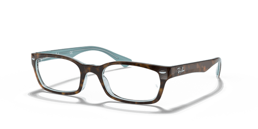 [Clear Lenses, Polished Tortoise Frame]