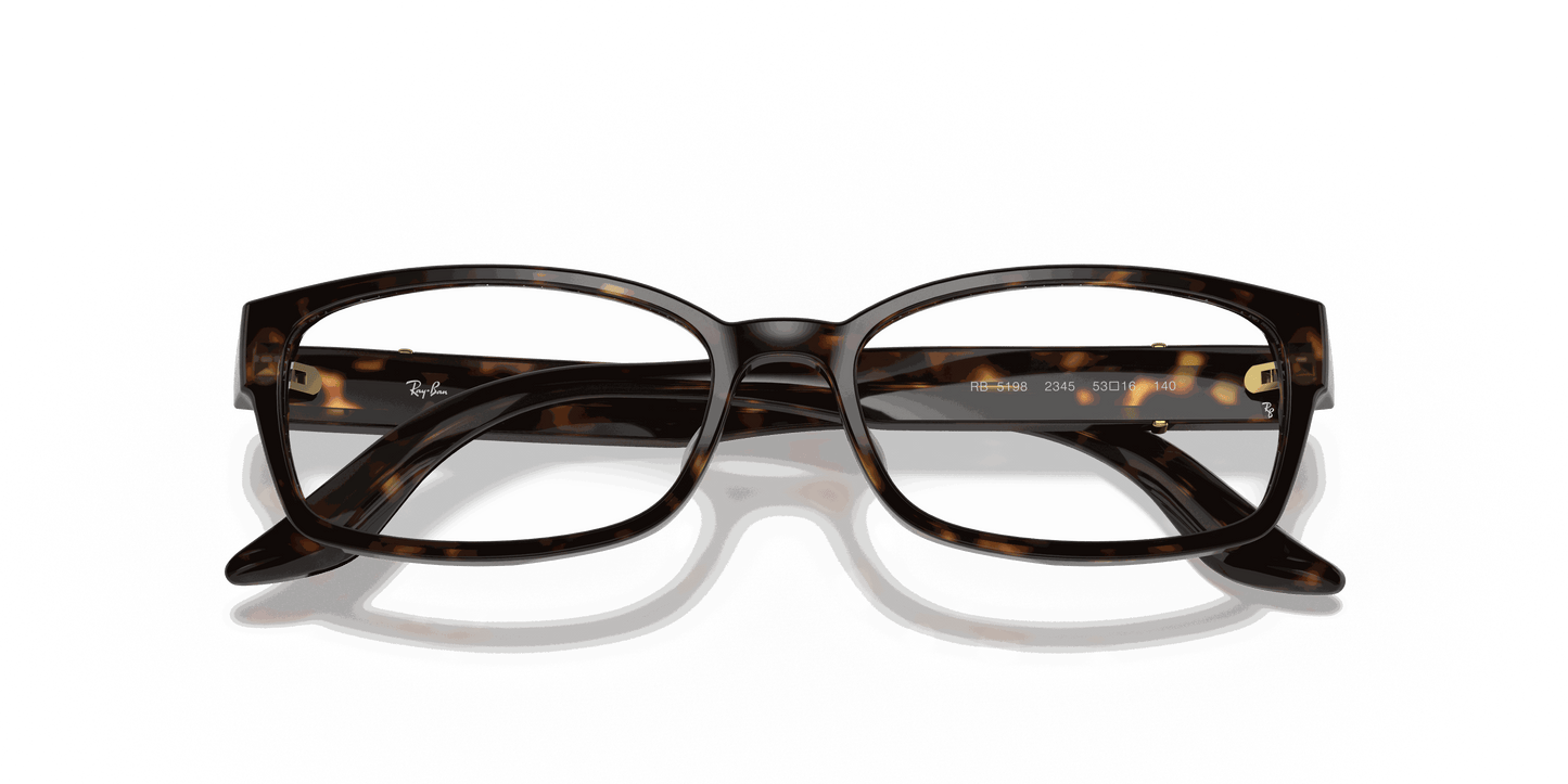 [Clear Lenses, Polished Tortoise Frame]