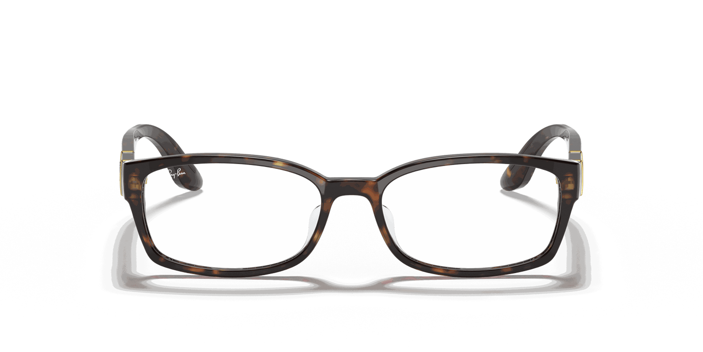 [Clear Lenses, Polished Tortoise Frame]