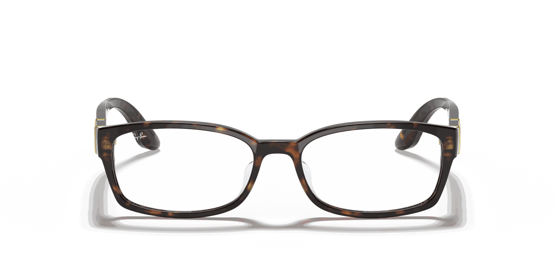 [Clear Lenses, Polished Tortoise Frame]