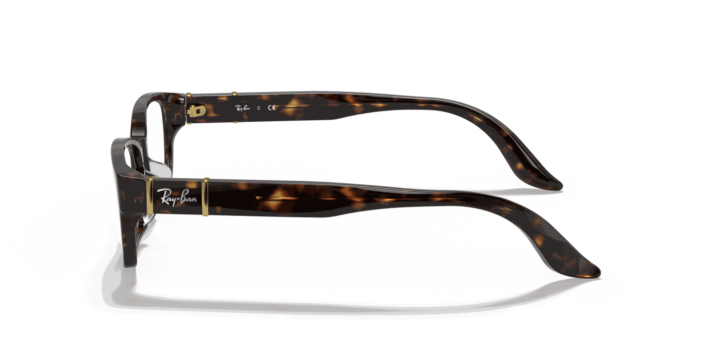 [Clear Lenses, Polished Tortoise Frame]