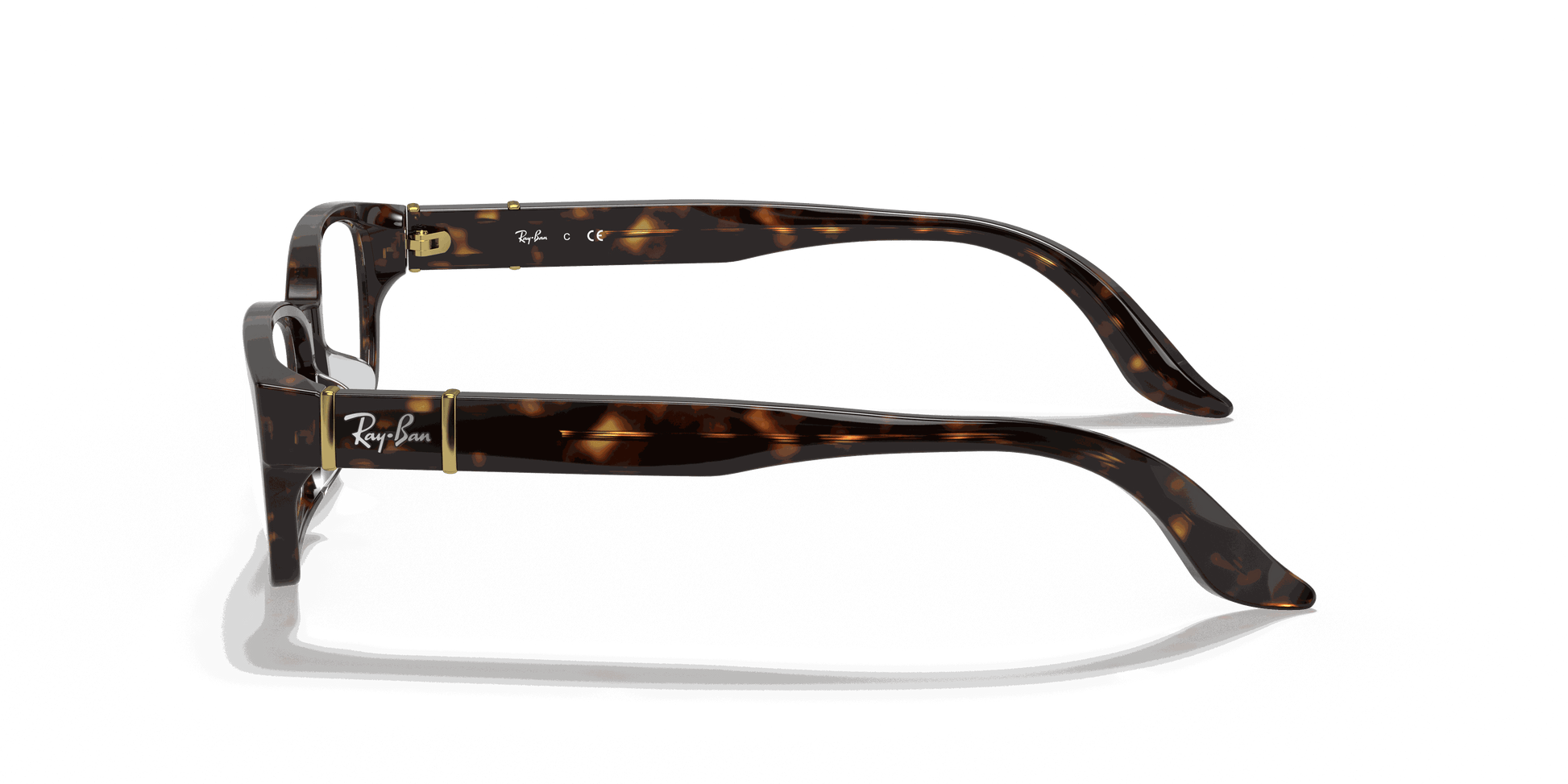 [Clear Lenses, Polished Tortoise Frame]