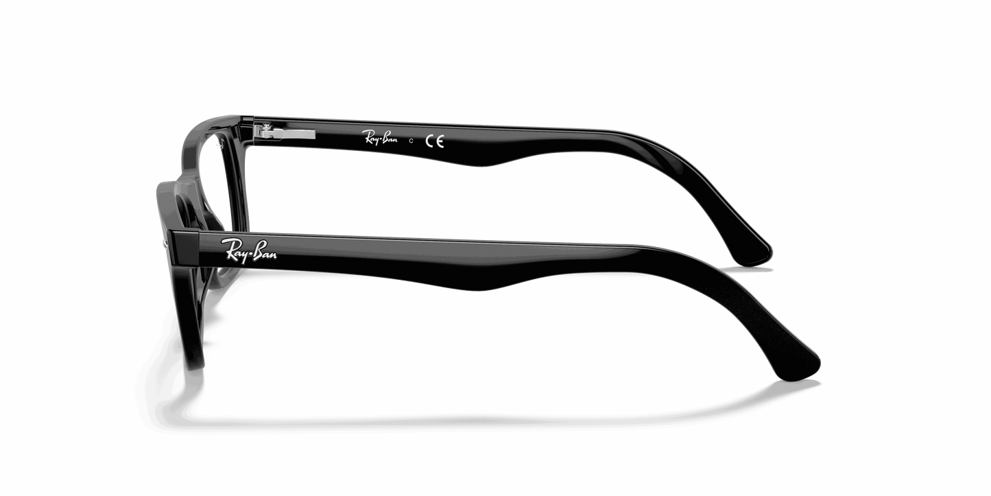 [Clear Lenses, Polished Black Frame]