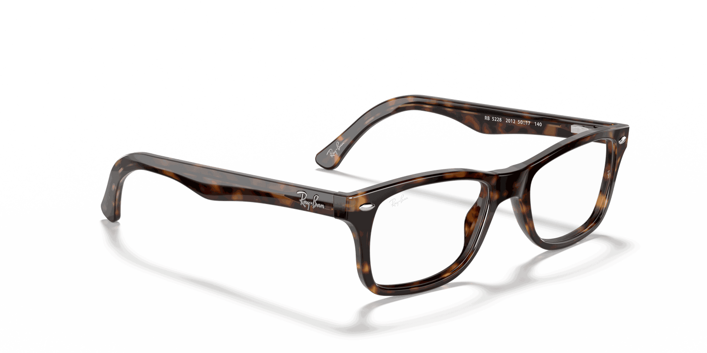 [Clear Lenses, Polished Dark Havana Frame]