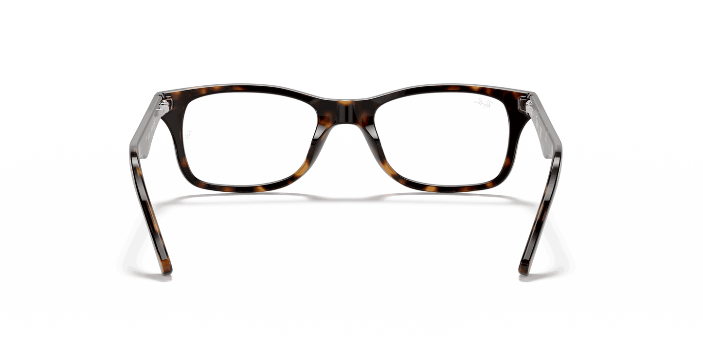 [Clear Lenses, Polished Dark Havana Frame]