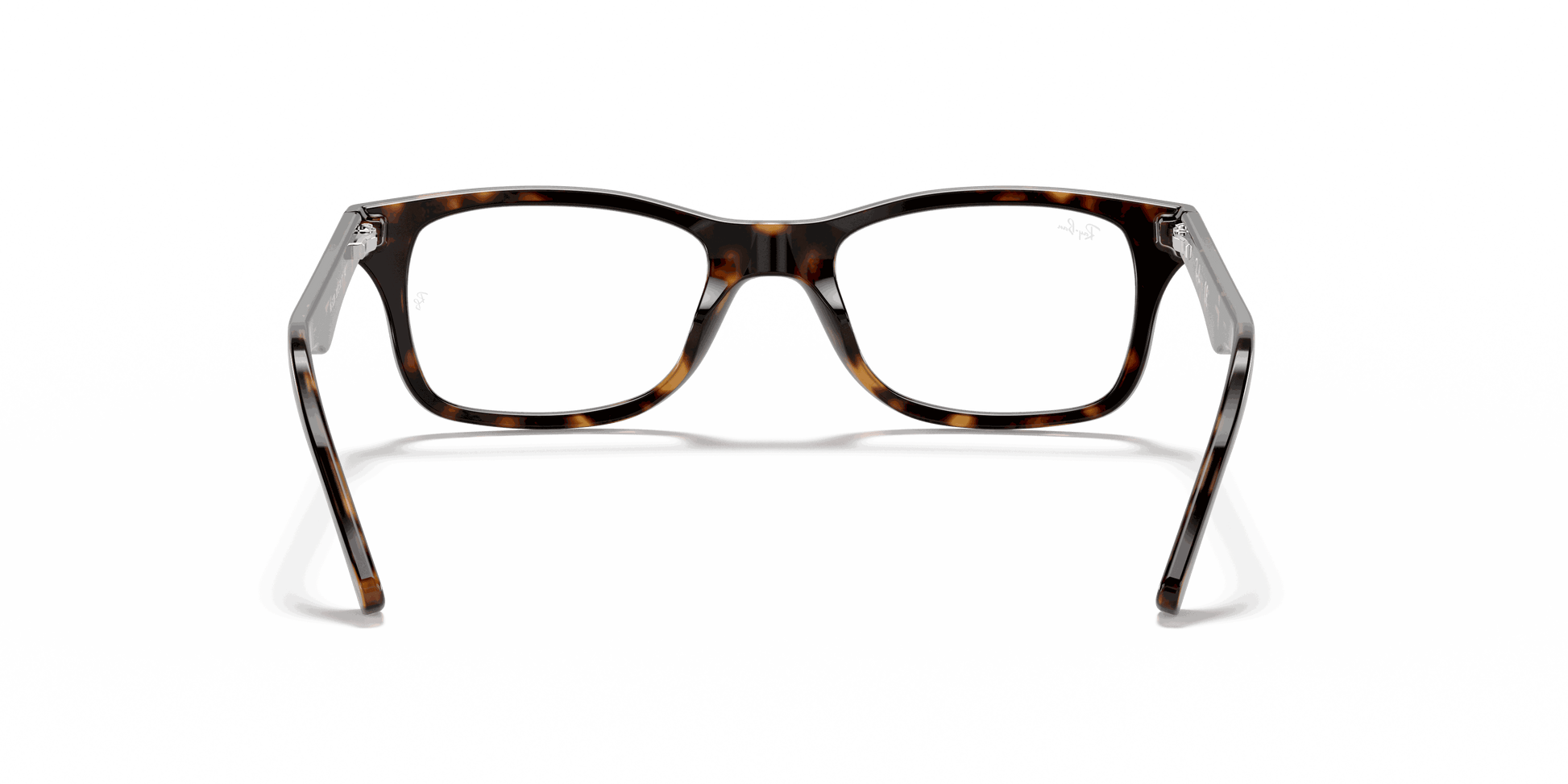 [Clear Lenses, Polished Dark Havana Frame]