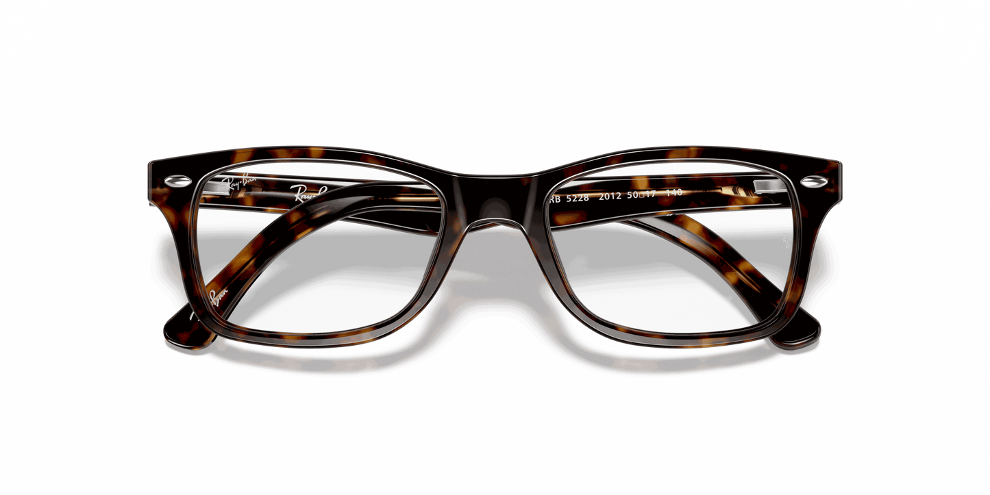 [Clear Lenses, Polished Dark Havana Frame]