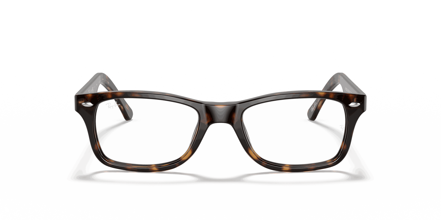 [Clear Lenses, Polished Dark Havana Frame]