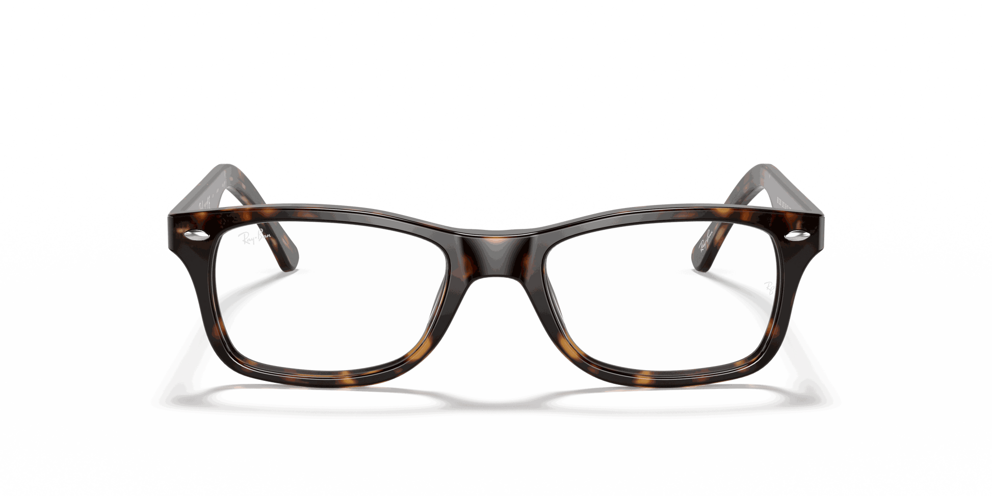 [Clear Lenses, Polished Dark Havana Frame]