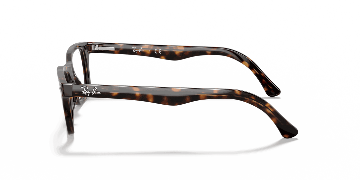 [Clear Lenses, Polished Dark Havana Frame]