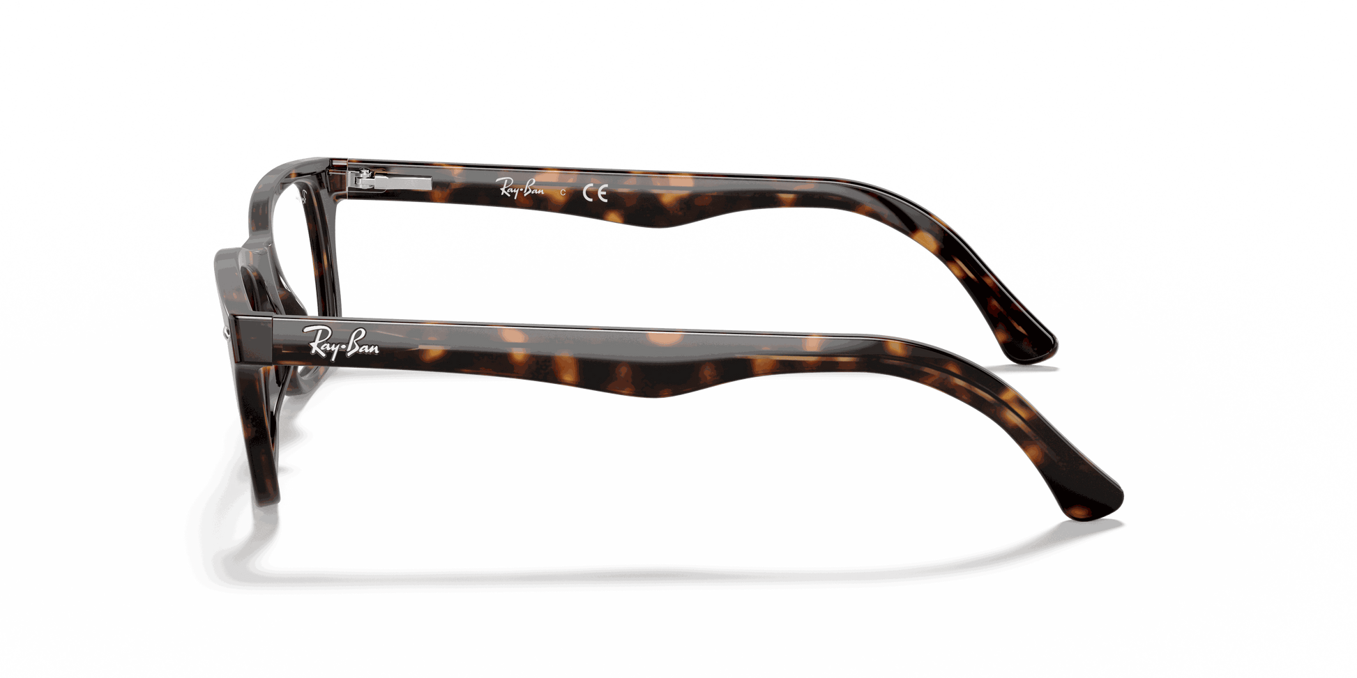 [Clear Lenses, Polished Dark Havana Frame]