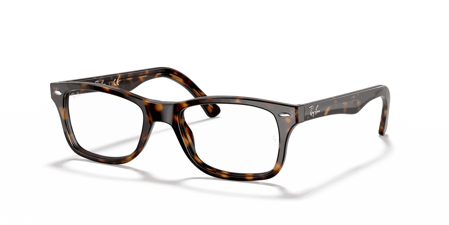 [Clear Lenses, Polished Dark Havana Frame]