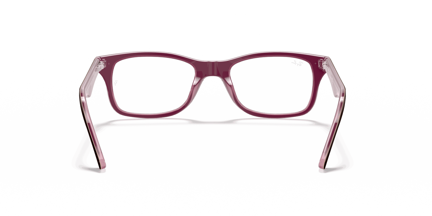 [Clear Lenses, Polished Brown Frame]