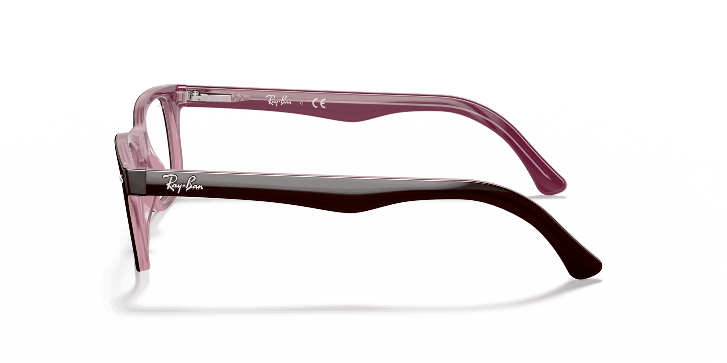 [Clear Lenses, Polished Brown Frame]