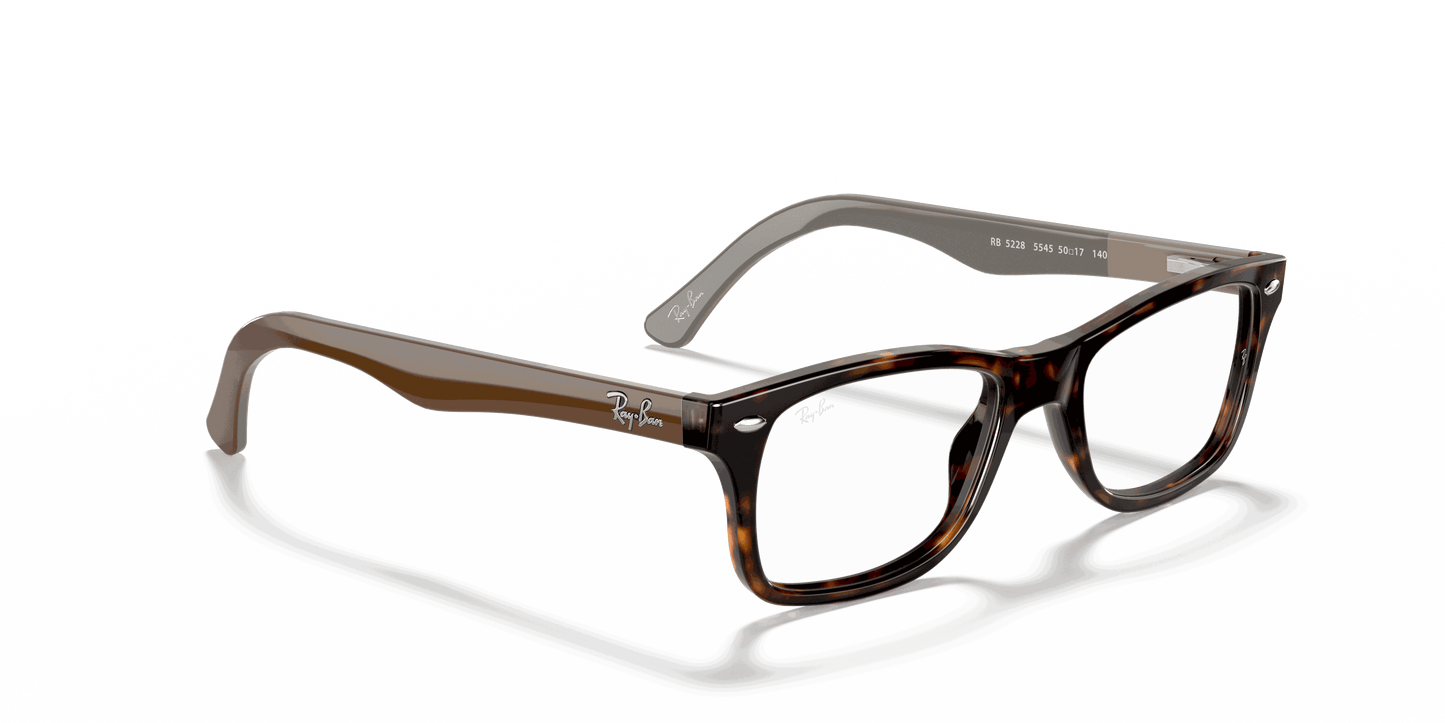 [Clear Lenses, Polished Havana Frame]