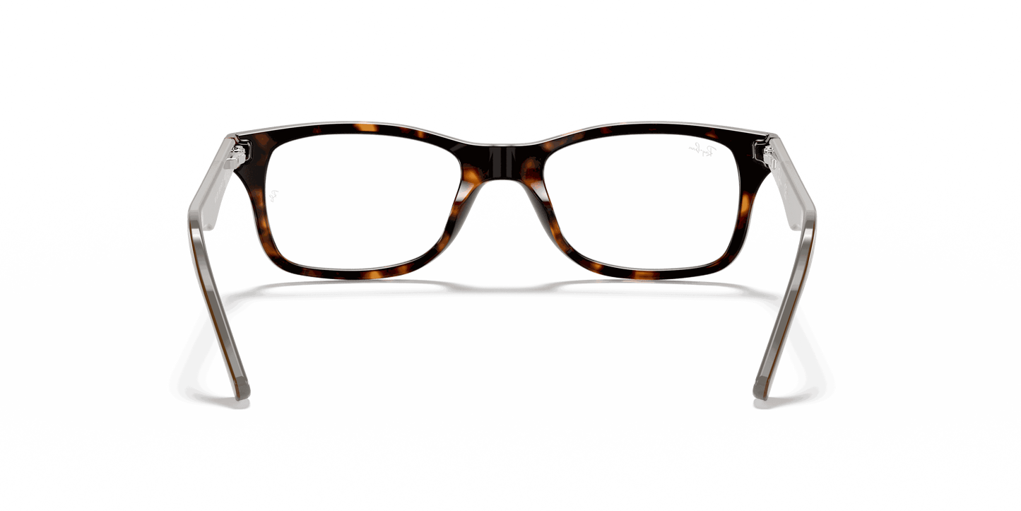 [Clear Lenses, Polished Havana Frame]