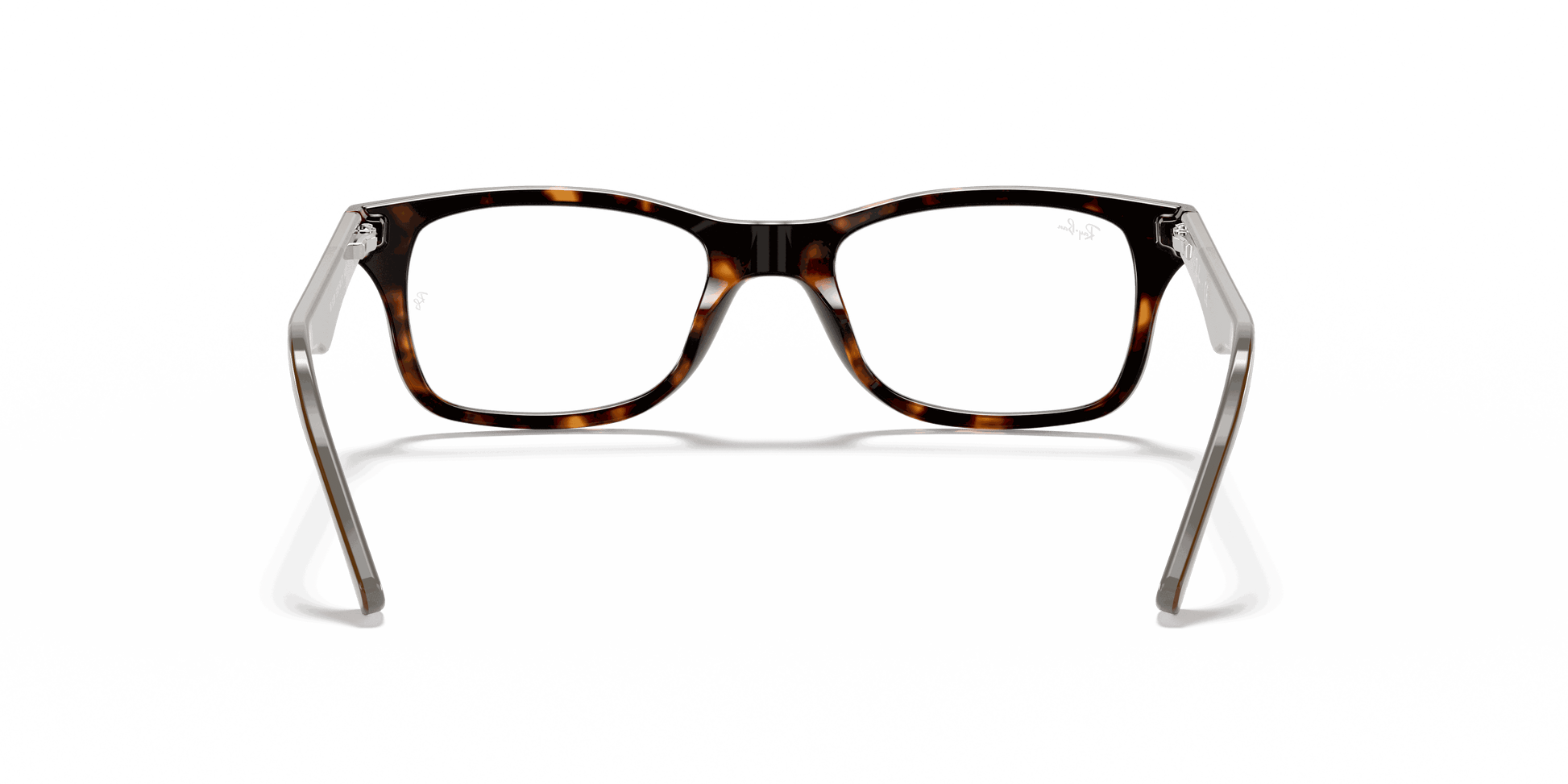 [Clear Lenses, Polished Havana Frame]