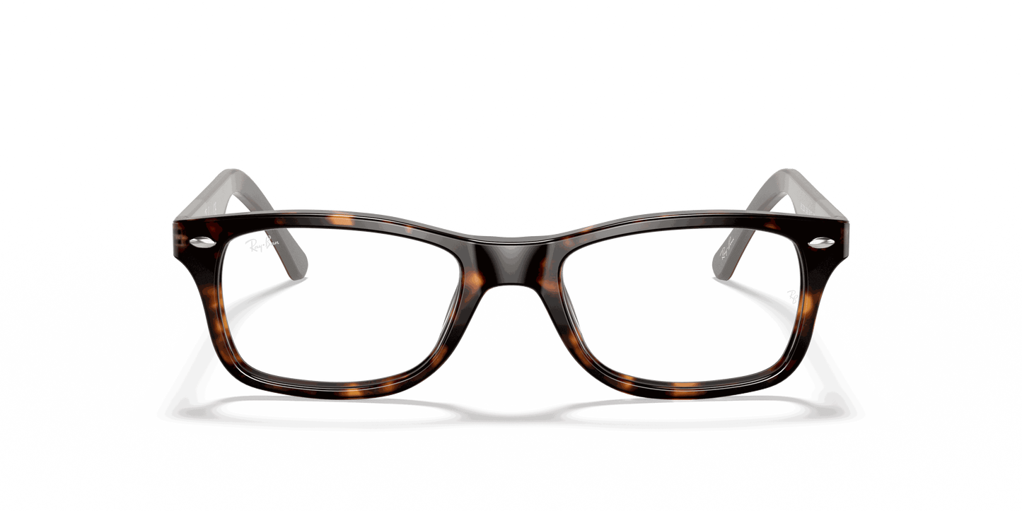 [Clear Lenses, Polished Havana Frame]