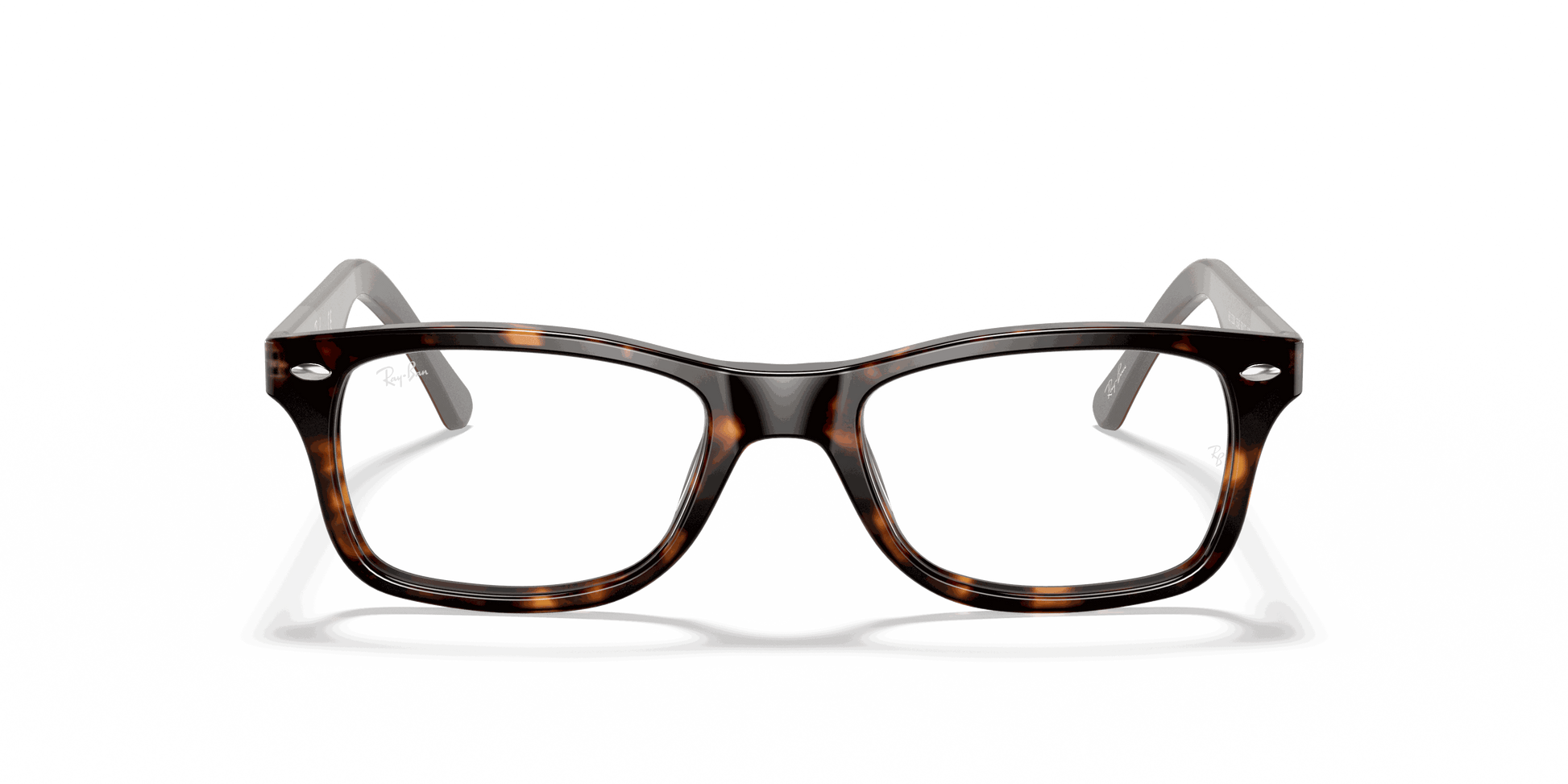 [Clear Lenses, Polished Havana Frame]