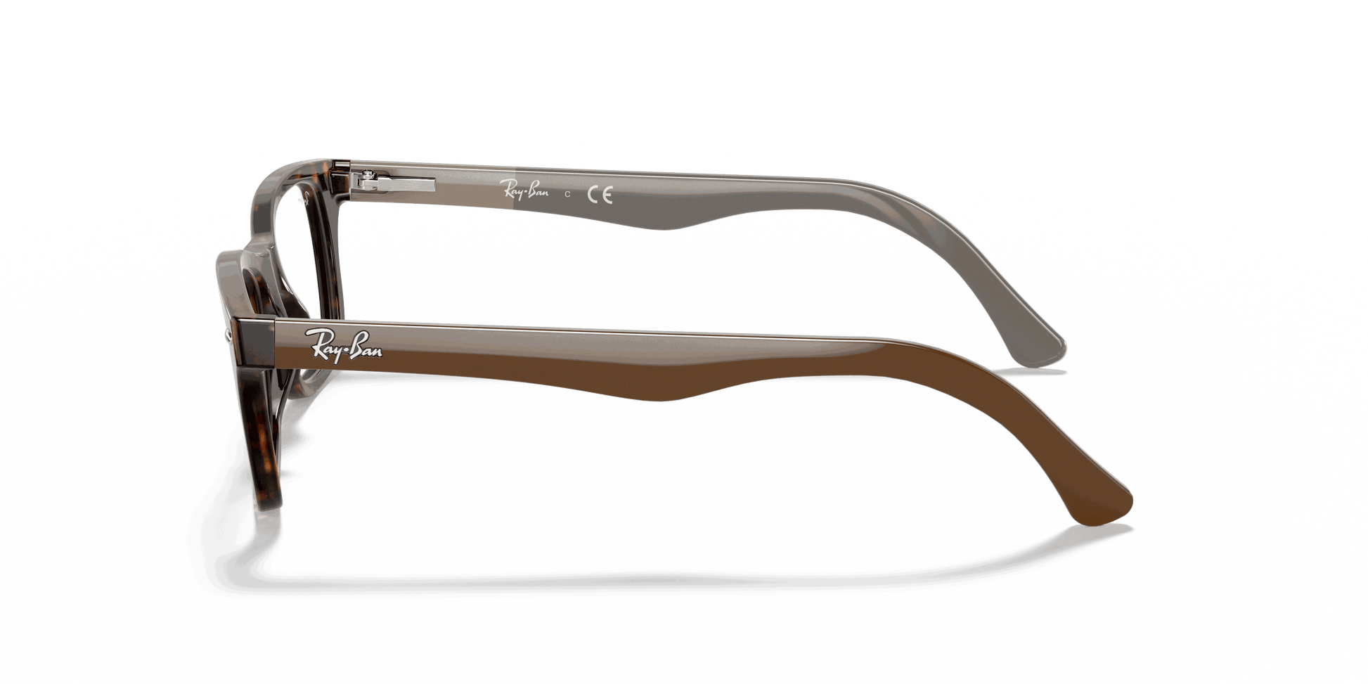 [Clear Lenses, Polished Havana Frame]