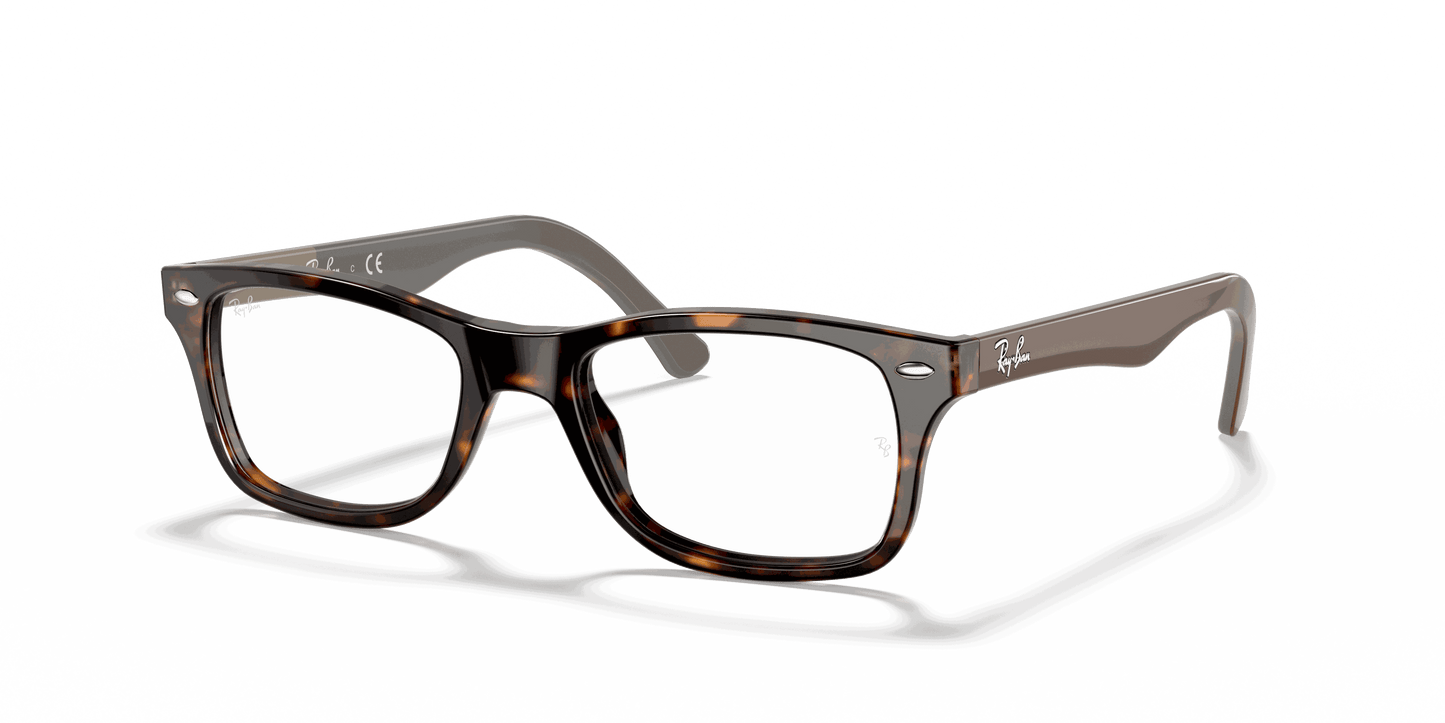 [Clear Lenses, Polished Havana Frame]