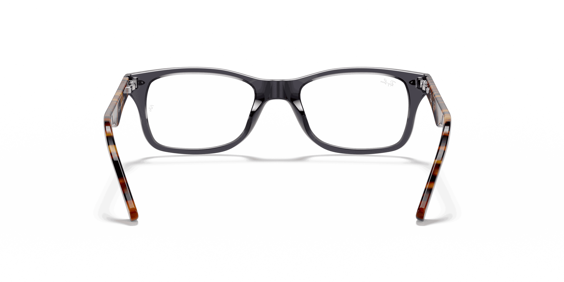 [Clear Lenses, Polished Grey Frame]